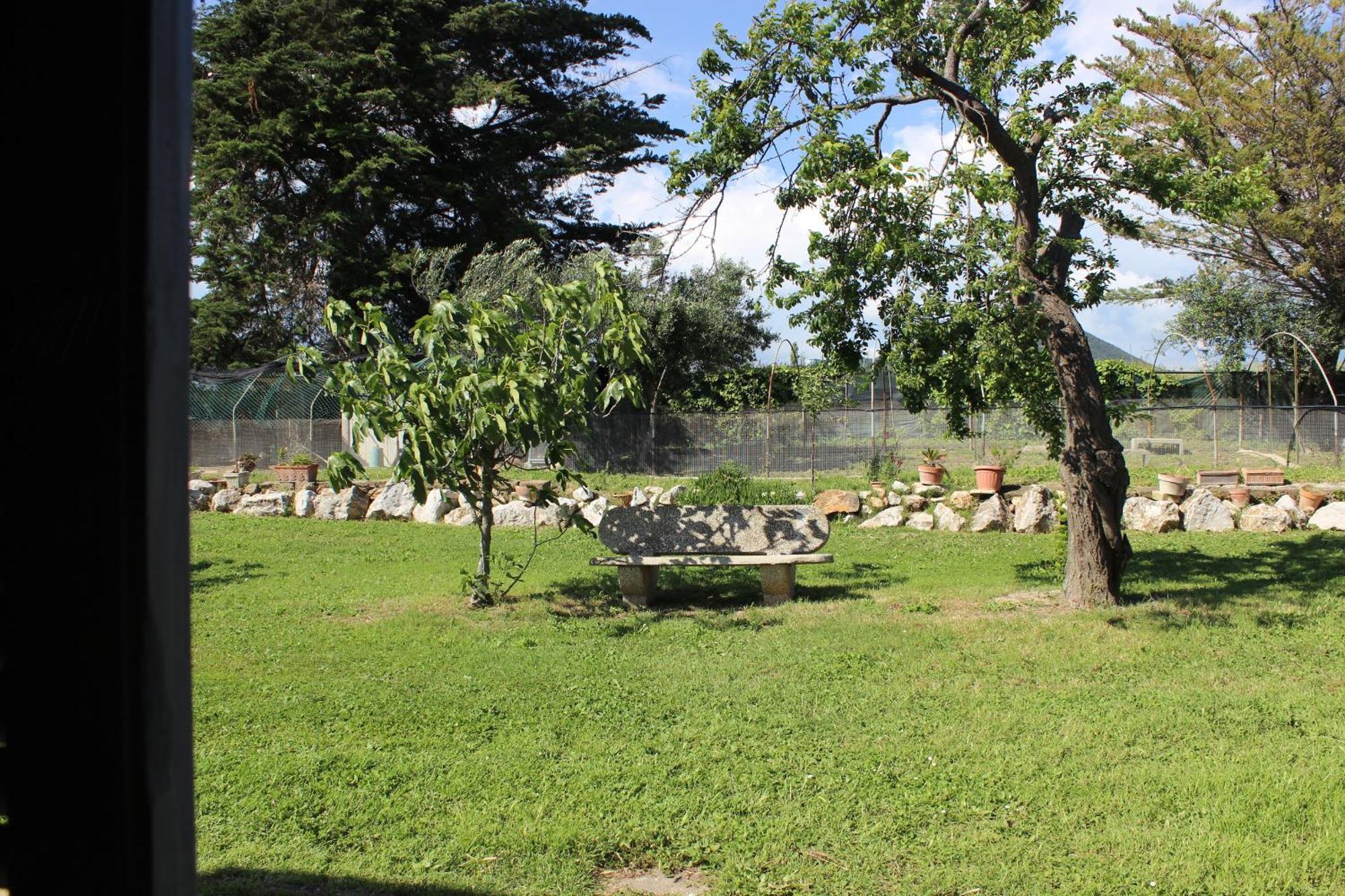 Guest House Villa Di Judighes Cerveteri Room photo