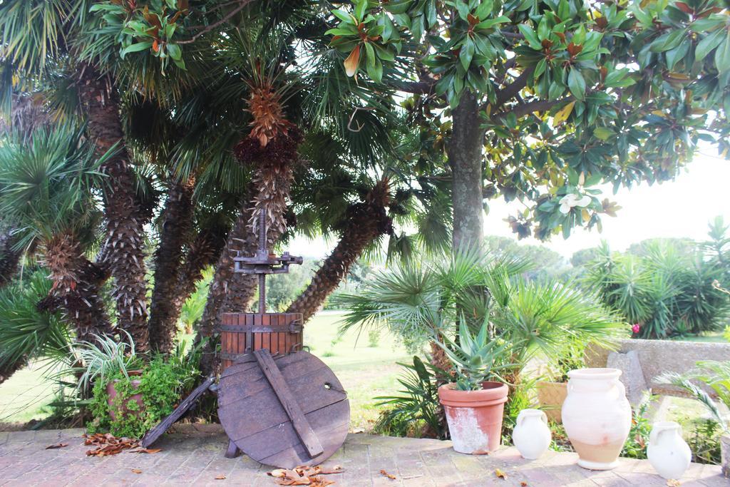 Guest House Villa Di Judighes Cerveteri Exterior photo